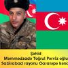 sehid.memmedzade.togrul