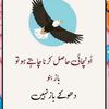 zulqarnain25327