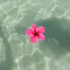 ariadna_13_24