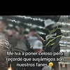 tuizanfavorito44