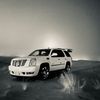 abu_fares62