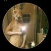 jhonny.s6