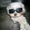 lolo33703