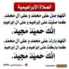 user54667769761041