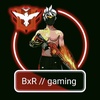 bxrgaming5