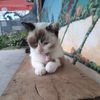 joelyjeje