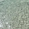 edgar_fonseca5