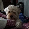 ana_vargas.6