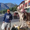 _nestor65