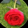 user5246704337315