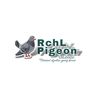 rchl_pigeon
