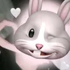 gia_heo212