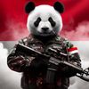 panda.dc7