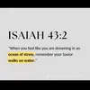 jesus.saves.us.6