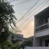 storyypanzz