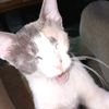 maheswari_ak02