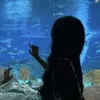 emmiutienncuaanh