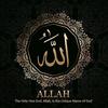 I ❤️ ALLAH 🌹🥀🥀