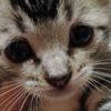 tinny.suartini8