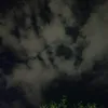 barez.jabary