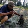 rasidizainal08