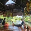 duongminhquy003