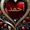 sara.hassan187