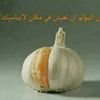 adnanruzi