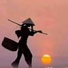 soe.myint690