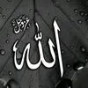 dkdkk.2