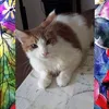 lorielorie28