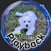 reeses_playback