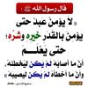 user9509473261734