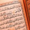 nourhan4599