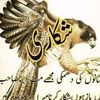 bhattisab2510