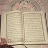 salma.ashraf668