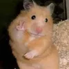 purrrrla