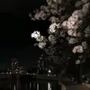 villssv1