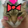 queen.cat._.5