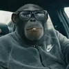 .ai.clips1