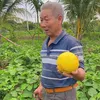 Ông Lương Làm Nông