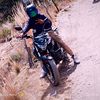 tadeo_cars0