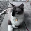 splmiguel