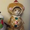 ilovemykittyy5