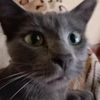 arwen_pe