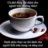 hongtim300921