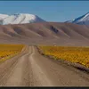 whendovescry84