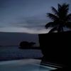 liweor_7