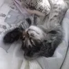 naida_6562