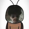 the_sily_fox